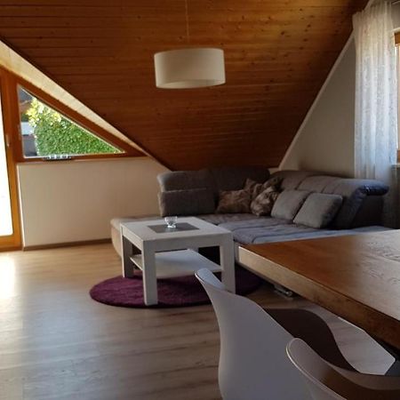 Appartment Sonnenblick Dielheim Buitenkant foto
